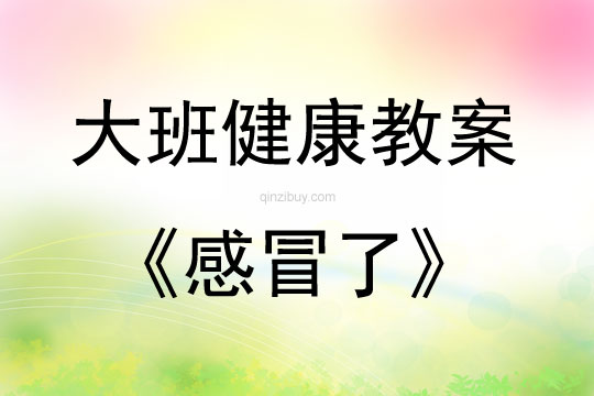 大班健康活動感冒了教案反思
