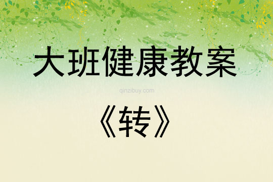 大班健康活動《轉》教案反思