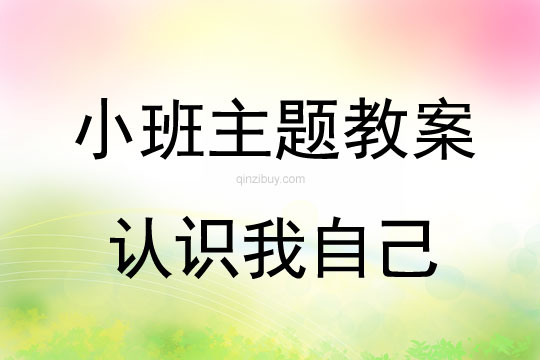 小班主題認識我自己教案反思