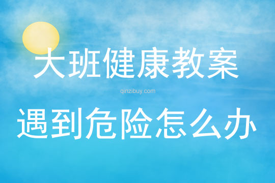 大班健康活動教案：遇到危險怎么辦教案(附教學反思)