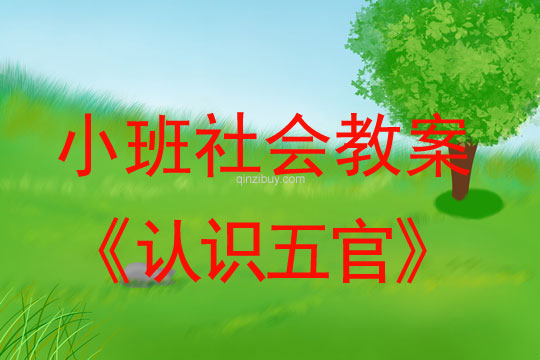 小班社會(huì)活動(dòng)教案：認(rèn)識(shí)五官教案