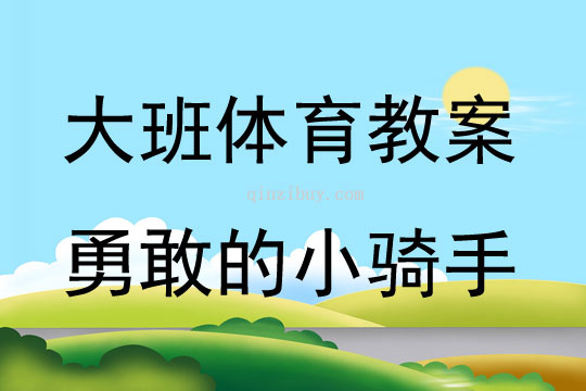 大班體育游戲活動勇敢的小騎手（椅子）教案反思