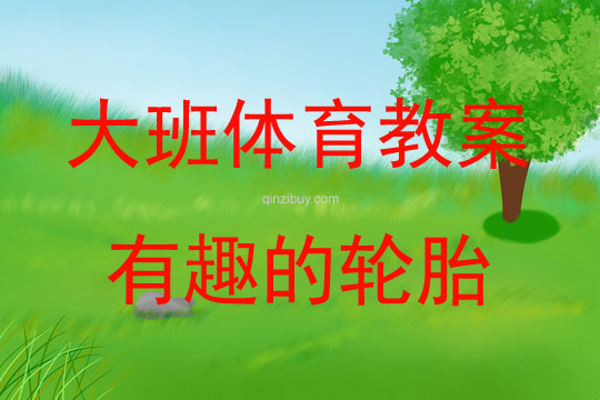 大班體育游戲有趣的輪胎（推、跑、平衡）教案反思