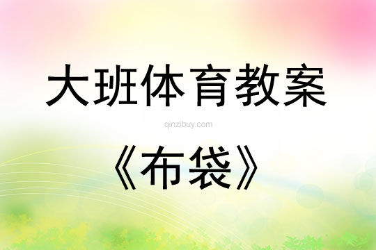 大班體育游戲布袋教案反思