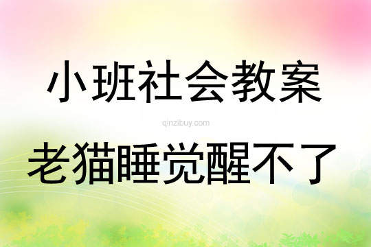 小班社會：老貓睡覺醒不了小班社會：老貓睡覺醒不了