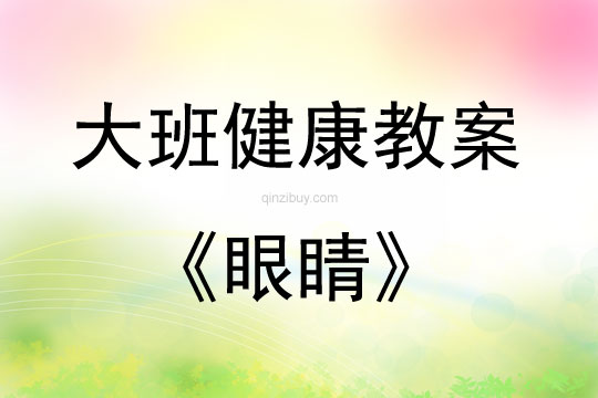 大班健康活動教案：眼睛教案