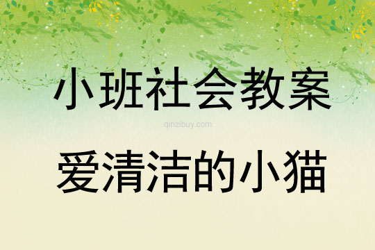 小班社會教案：愛清潔的小貓小班社會教案：愛清潔的小貓