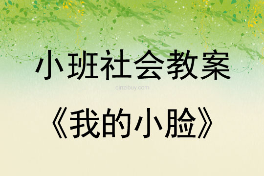 小班社會(huì)活動(dòng)教案：我的小臉教案