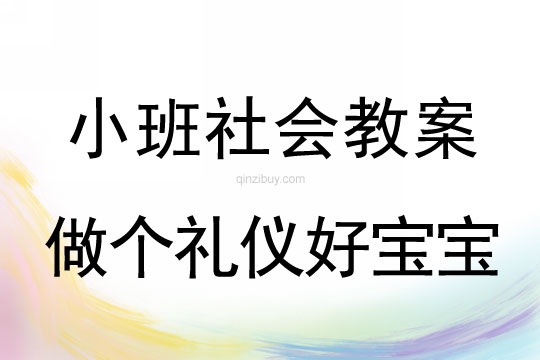 小班社會活動做個禮儀好寶寶教案反思