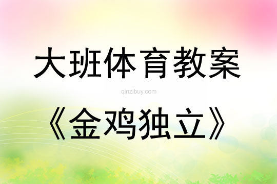 大班體育游戲活動金雞獨立教案反思