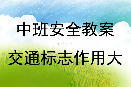 中班安全交通標志作用大教案反思