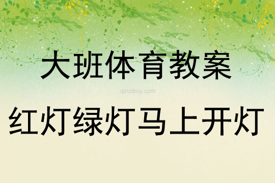 大班體育游戲活動紅燈綠燈馬上開燈教案反思