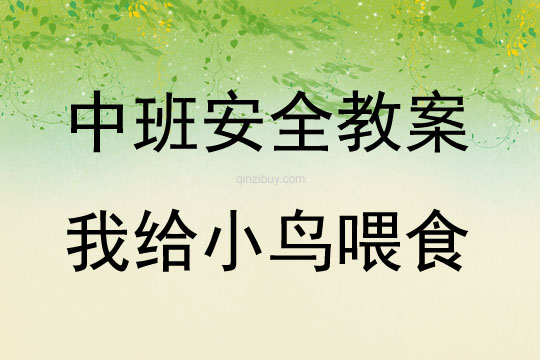 中班安全活動我給小鳥喂食教案反思