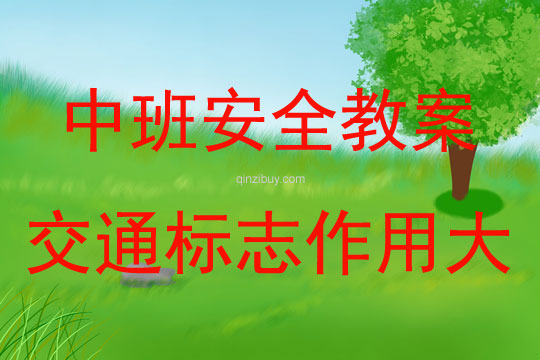 中班安全活動教案：交通標志作用大教案