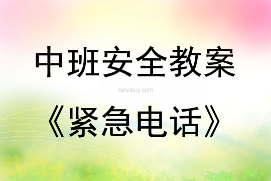 中班安全緊急電話教案