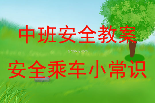 中班安全交通安全乘車小常識教案反思