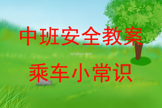 中班安全乘車小常識(shí)教案反思