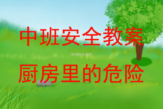 中班安全教育活動(dòng)廚房里的危險(xiǎn)教案反思
