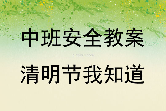 中班安全教育活動清明節我知道教案反思
