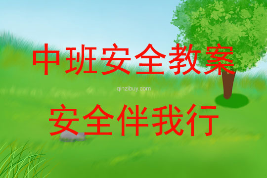 中班安全活動(dòng)教案：安全伴我行教案