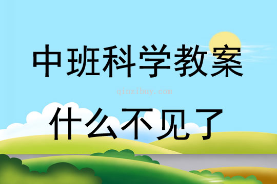 中班科學活動《什么不見了》教案反思