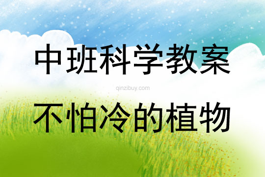 中班科學(xué)活動(dòng)不怕冷的植物教案反思