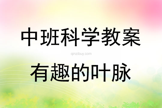 中班科學(xué)活動(dòng)有趣的葉脈教案反思