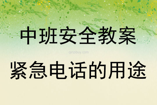 中班安全活動(dòng)教案：緊急電話的用途教案