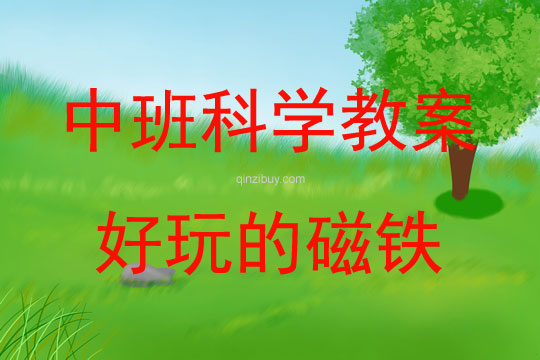 中班科學活動好玩的磁鐵教案反思