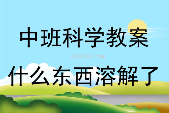 中班科學活動什么東西溶解了教案反思
