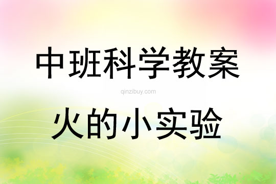中班科學活動火的小實驗教案反思