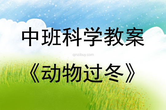 中班科學活動動物過冬教案反思