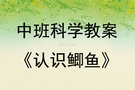 中班科學認識鯽魚教案反思