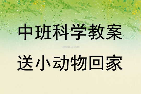 中班科學活動送小動物回家教案反思