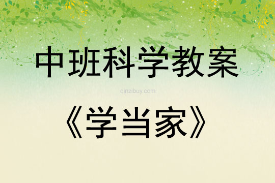 中班科學活動學當家教案反思