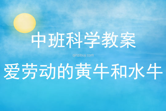 中班科學活動愛勞動的黃牛和水牛教案反思