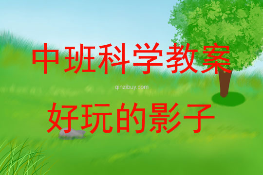中班科學(xué)活動(dòng)好玩的影子教案反思