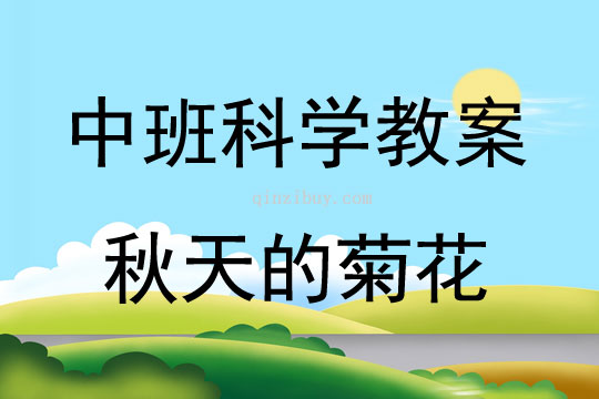 中班科學秋天的菊花教案反思
