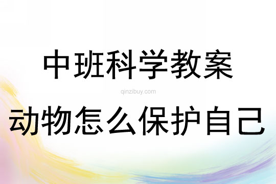 中班科學活動動物怎么保護自己教案反思