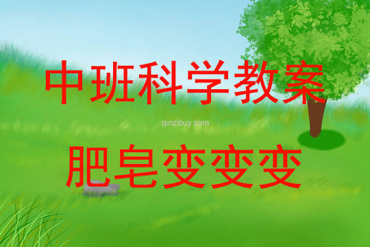 中班科學活動肥皂變變變教案反思