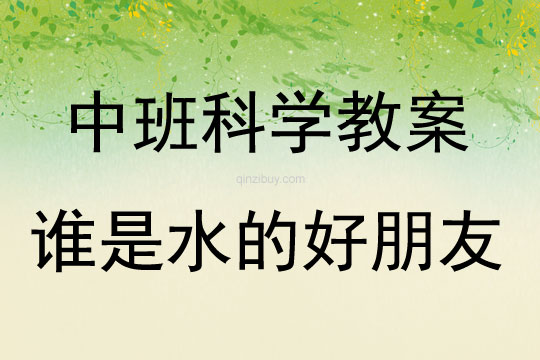 中班科學(xué)活動(dòng)誰是水的好朋友教案反思