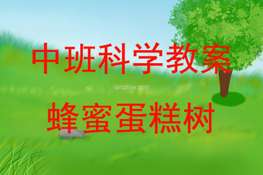中班科學(xué)活動(dòng)蜂蜜蛋糕樹教案反思