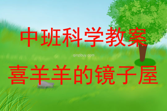 中班科學(xué)活動(dòng)喜羊羊的鏡子屋教案反思