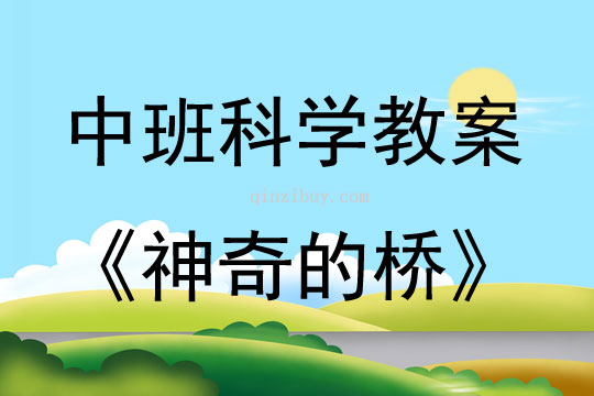 中班科學活動神奇的橋教案反思