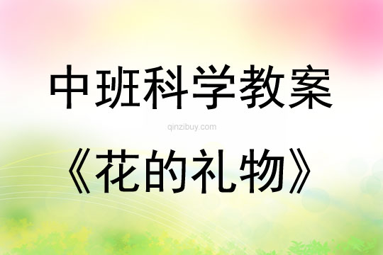 中班科學(xué)活動(dòng)花的禮物教案反思