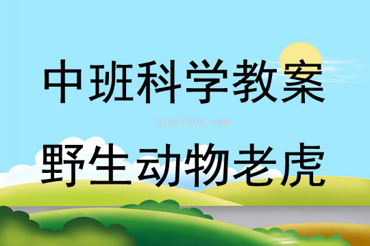 中班科學活動野生動物老虎教案反思