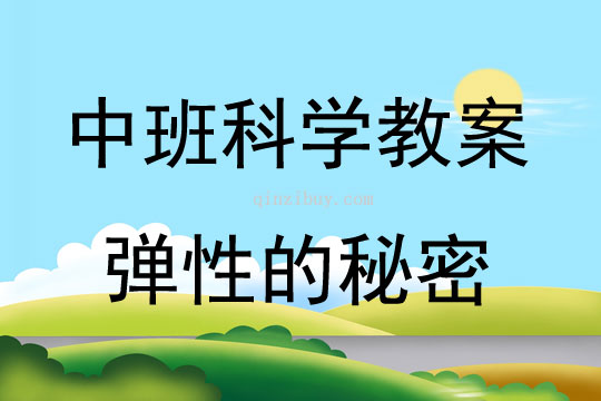 中班科學活動彈性的秘密教案反思