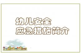 幼兒突發事件的處理PPT課件