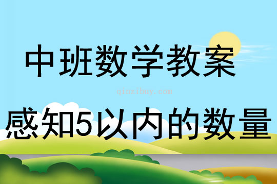 中班數學活動感知5以內的數量教案反思