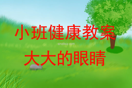 幼兒園小班健康教案：大大的眼睛小班健康教案：大大的眼睛
